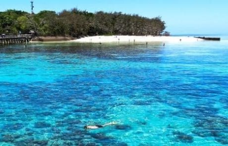 421574140_926173402841242_4864775652048952873_n